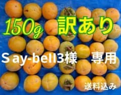 【訳あり】種なし9.0キロ　干し柿用　渋柿のサムネイル