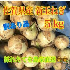 佐賀県産 新玉ねぎ 5kg 訳あり品のサムネイル