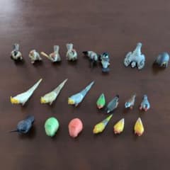 鳥 フィギュア まとめ売り 21体セットのサムネイル