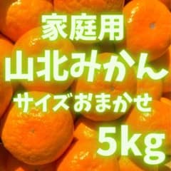 山北みかん みかん 文旦 ポンカン 好きに15 - メルカリ