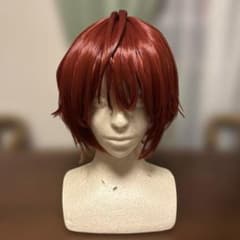 リドル ウィッグ セット済み ツイステ Dハロ コスプレ
