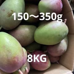 摘果マンゴー　150〜350g 8KGのサムネイル