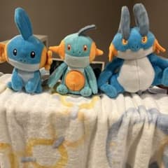 ポケモン ミズゴロウ ヌマクローラグラージぬいぐるみ 約20cmのサムネイル