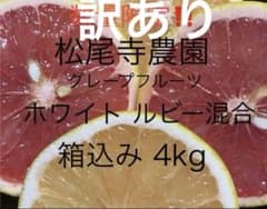 訳あり国産グレープフルーツ　果物　柑橘類　ビタミンのサムネイル