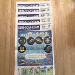 読売こども新聞　2024年5月号のサムネイル