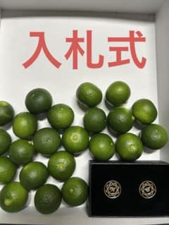 k*a様 ハウススダチ　家庭用　約5キロ ハウススダチ 家庭用 約1キロ 入札式 - メルカリ