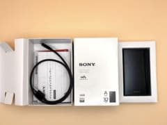 SONY WALKMAN NW-A306 32GBのサムネイル