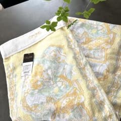 CELINE タオルケット　セリーヌ　西川産業　送料込み　パステルイエロー CELINE タオルケット セリーヌ 西川産業 送料込み パステルイエロー