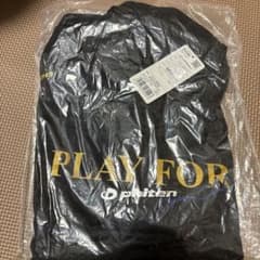 phiten 記念ロンTのサムネイル