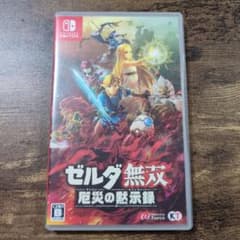 ゼルダ無双 厄災の黙示録 Nintendo Switch