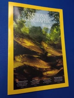 【英語版】National Geographic June 2024のサムネイル