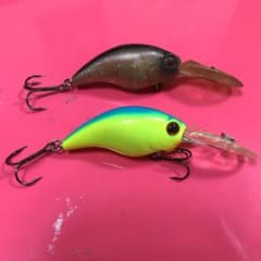 ワイルドハンチのサムネイル