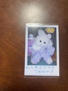 くまきち　チェキ風カードのサムネイル