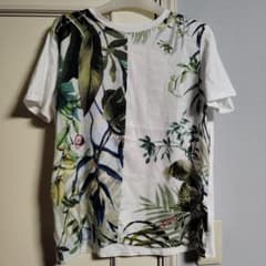 デシグアル　Tシャツのサムネイル