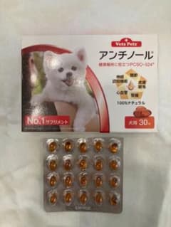 アンチノール☆ワンちゃん用サプリメントのサムネイル