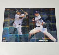プロ野球チップス　2010 トッププレイヤーカード　阿部慎之助　館山昌平のサムネイル