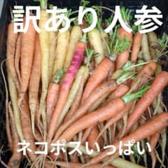 訳あり 人参 ペットのおやつ