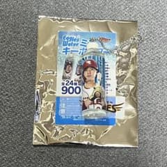 イーグルスウォーターミニキーホルダー 黒川史陽のサムネイル