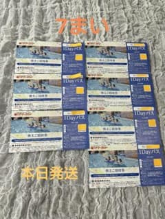 サマーランド プール 7枚 フリーパス 株主優待のサムネイル