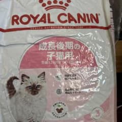 ロイヤルカナン 成長後期の子猫用 キトン 10kg 生後1歳まで - メルカリ