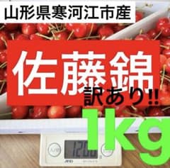【 佐藤錦 】数量限定✨️山形県産 さくらんぼ 訳あり 家庭用 1kgのサムネイル