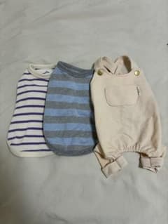 鎌倉ドッグ　トップス　M セット売りのサムネイル