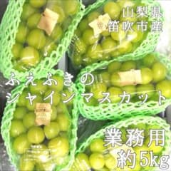 大粒シャインマスカット/上位等級の青秀品！/業務用/山梨県笛吹市産/5kg入のサムネイル