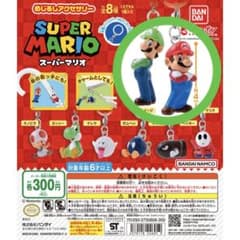 スーパーマリオ めじるしアクセサリー マリオ ルイージ ③のサムネイル