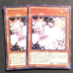 遊戯王 灰流うらら 2枚のサムネイル