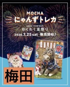 猫カフェMOCHA 梅田店 2026 Summerトレカ わくわく夏祭り 猫カフェmocha にゃんずトレカ わくわく夏祭り 2026夏 梅田店 - メルカリ