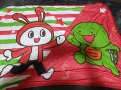 마이젠 시스터즈 냉감 담요