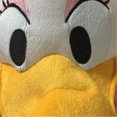 ドナルドのサムネイル