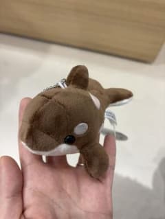 須磨シーワールド シャチ 新色 ショコラデュオカラー キーホルダー