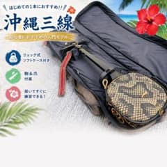 沖縄三線 初心者セット ケース付 すぐ始められる 入門モデル - メルカリ