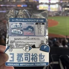 日本ハムファイターズ シークレットキャップクリップ 郡司裕也3のサムネイル