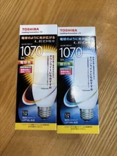 【新品未使用】　TOSHIBA LED電球 2個セット LDT10L-G/S