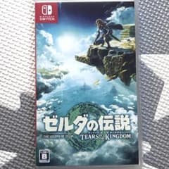 젤다의 전설 티어즈 오브 더 킹덤 Switch