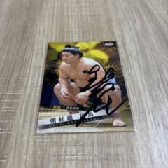 m16205483545_1.jpg?1748965073