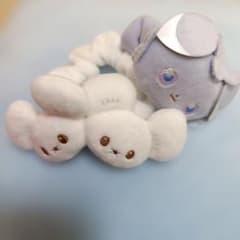 ポケピース ぬいぐるみバンド シュシュ ワッカネズミ、ニャスパー　セットのサムネイル