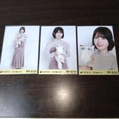 乃木坂46 生写真 コンプ エレガント 筒井あやめ - メルカリ