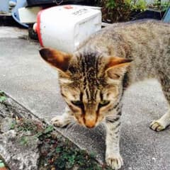 【ひろ様専用】母乳相談室乳首2個のサムネイル