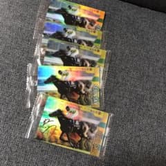 セイウンスカイカードのサムネイル