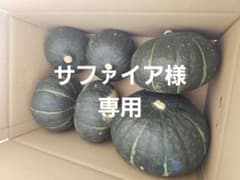 【サファイア様専用】かぼちゃダークホースブラックのジョー混合10㎏以上のサムネイル