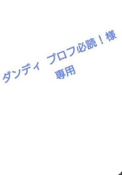 新品、未使用❣ドルセット ボディメイクレギンス Mサイズ（Lサイズも 