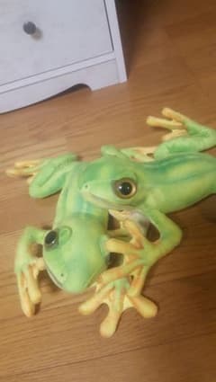 カエルのぬいぐるみのサムネイル