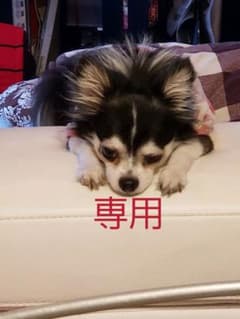 ICE様専用ですのサムネイル