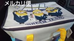 미니언 포켓 가득 상자