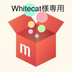 専用のサムネイル