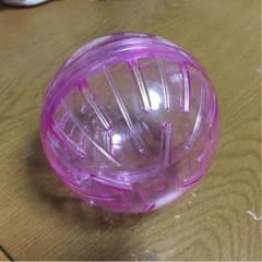 専用のサムネイル