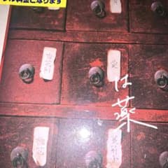 사랑은 약 ✬wacci❉ 싱글